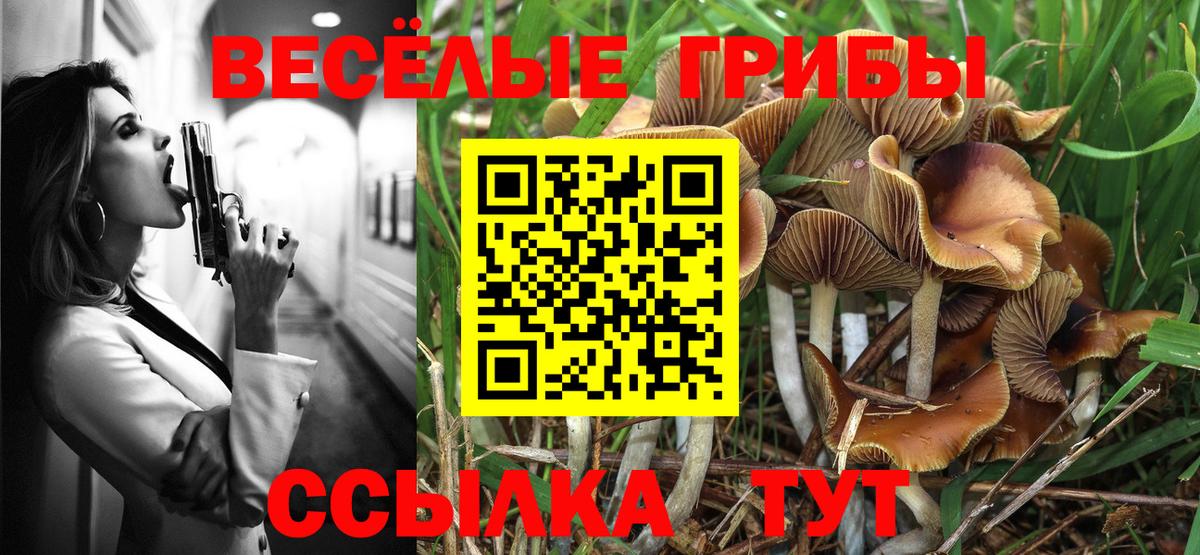 Галлюциногенные грибы мицелий Коряжма