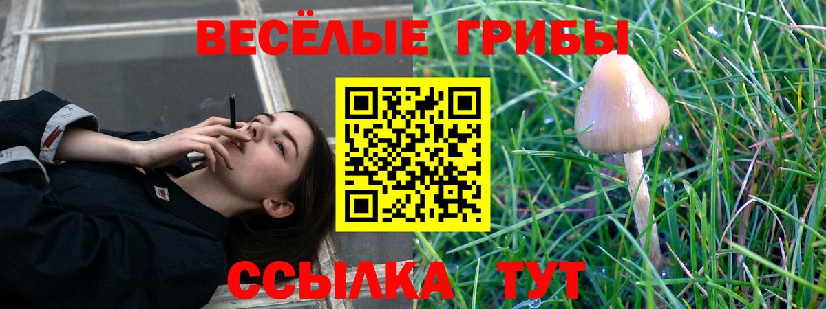 Коряжма  купить закладку  Вход с VPN  Псилоцибиновые грибы MAGIC MUSHROOMS 